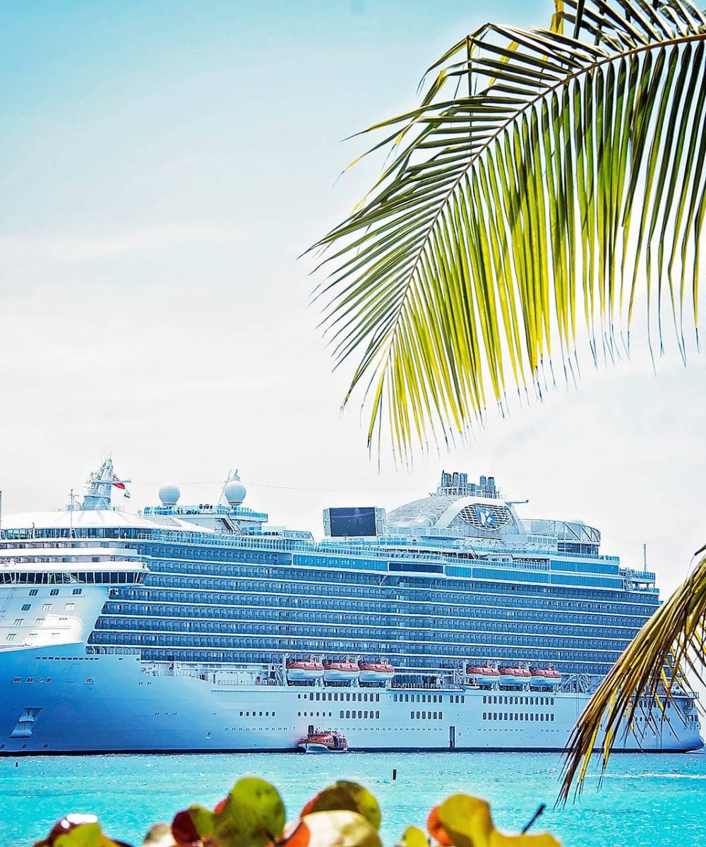 Cruise Ship Transfers