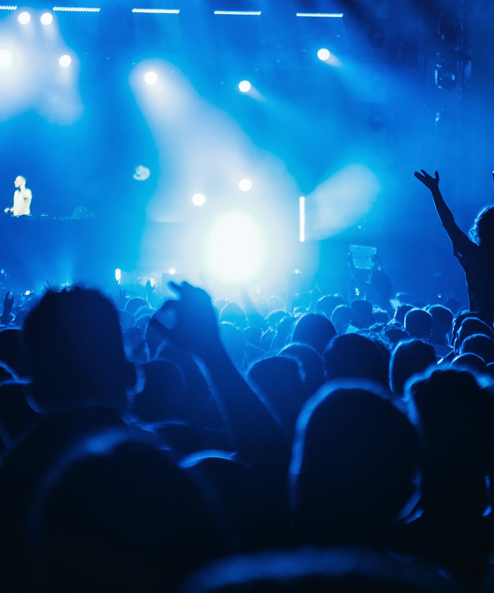 Concert Limousine Services